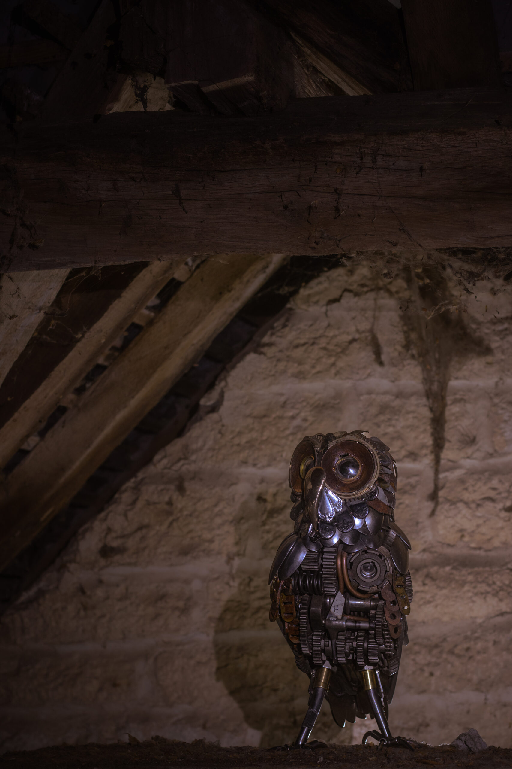 Noctua Ferrum